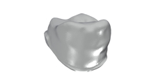 Elemento singolo dentale